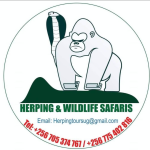 HERPING AND WILDLIFE SAFARIS LIMITED Logo
